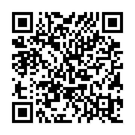 QR code for 9653FI