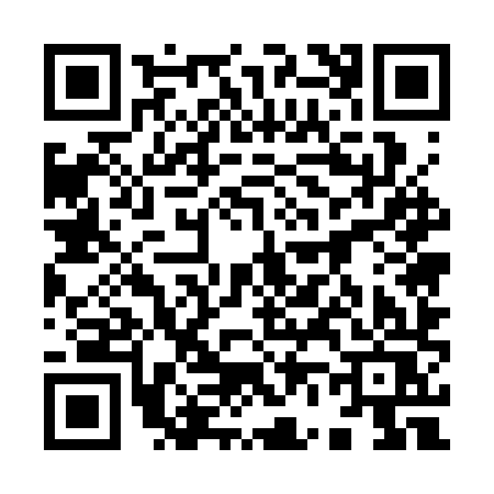 QR code for 9653XSG