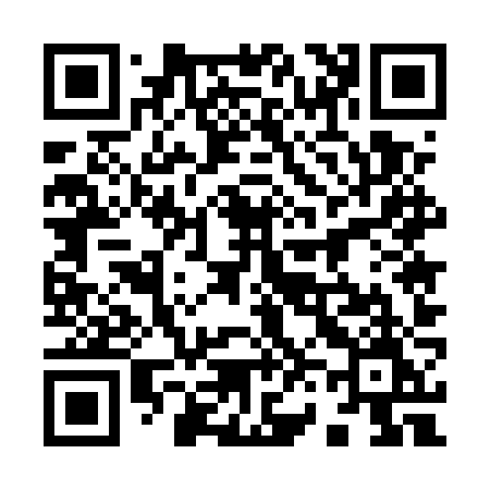 QR code for 9655ZM