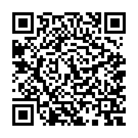 QR code for 9656LSP
