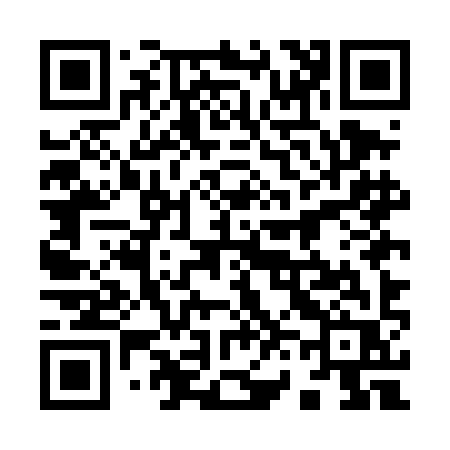 QR code for 965DIR