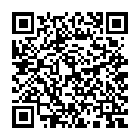 QR code for 9676PIC