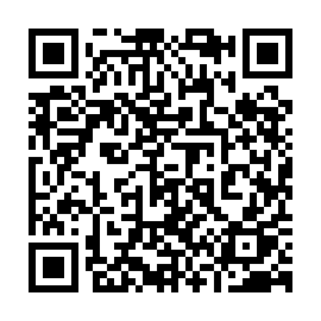 QR code for 9691AP