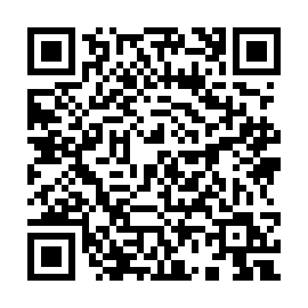 QR code for 9695CLT