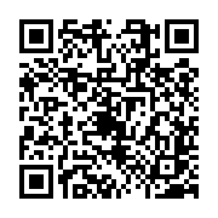 QR code for 9695DSS