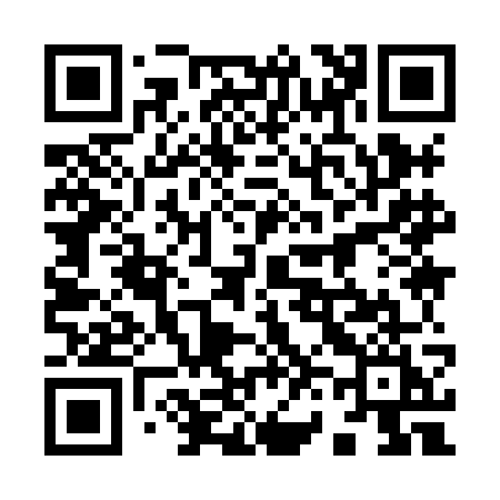 QR code for 9698GI