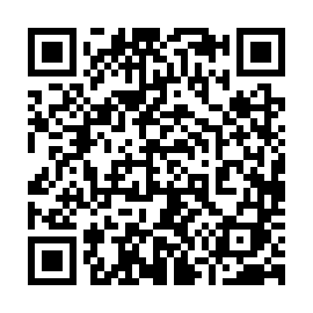 QR code for 9703TI