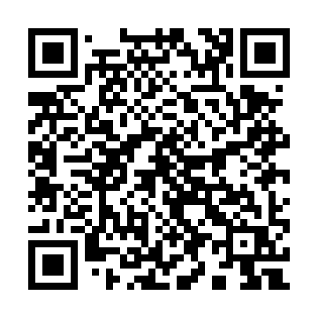 QR code for 991DYR