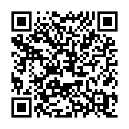QR code for 991IFE