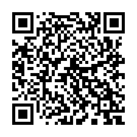 QR code for 991IPO