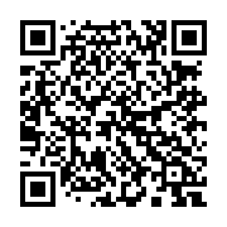 QR code for 991LFF