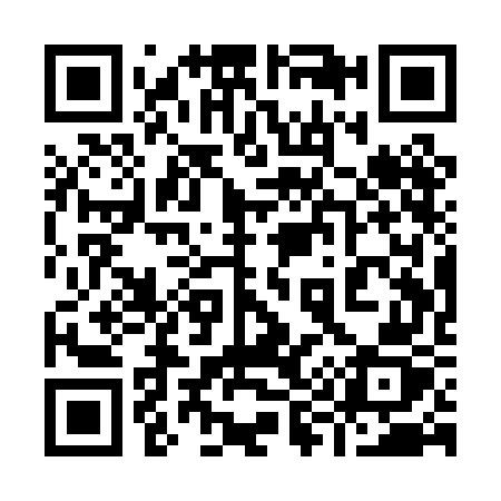 QR code for 991PGZ