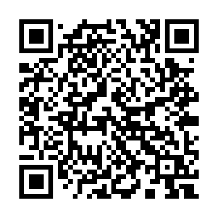 QR code for 991PYR