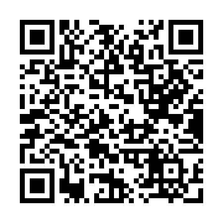 QR code for 991SFV