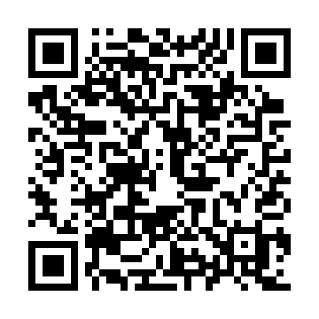 QR code for 991SQI