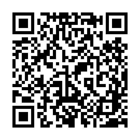 QR code for 991TDC