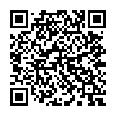 QR code for 991TUG