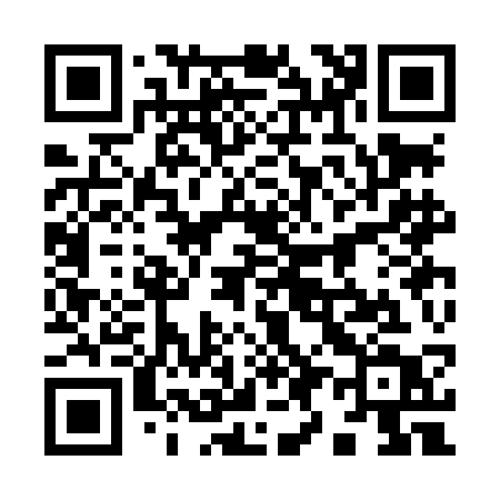 QR code for 993LCT