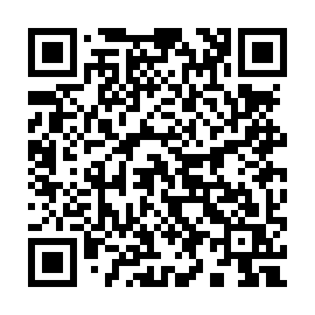 QR code for 993LYS