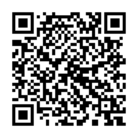 QR code for 993MSX