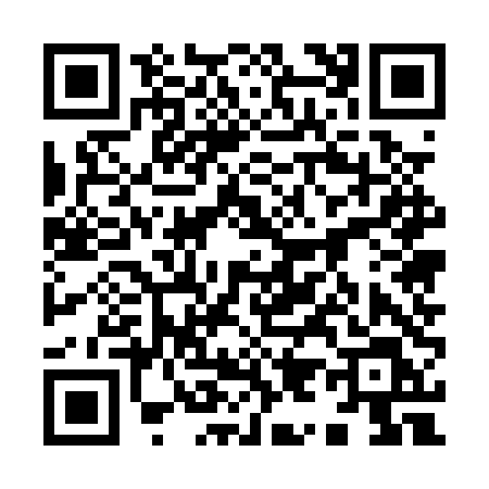QR code for 9950TLI
