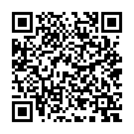 QR code for 9951SVO