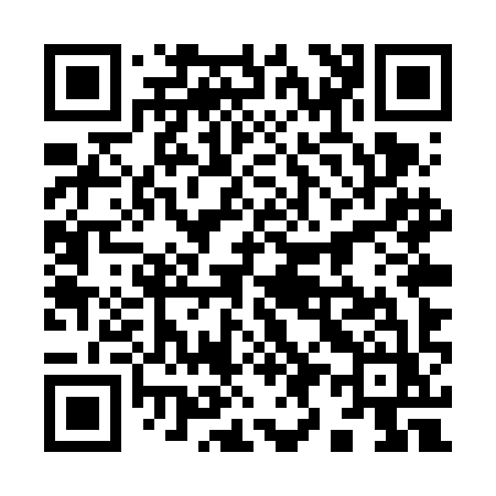 QR code for 995VIZ