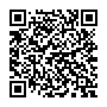 QR code for 995ZQB