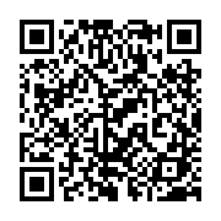 QR code for 996SDH