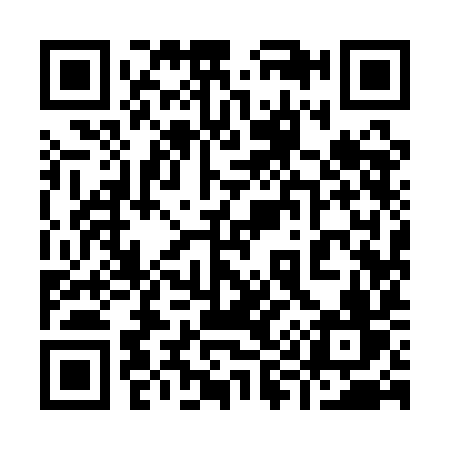 QR code for 9991IV