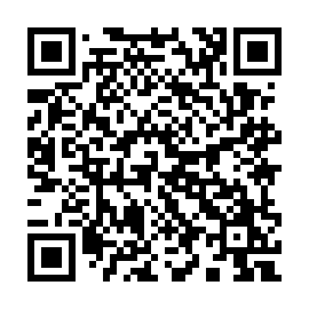 QR code for 9995HO