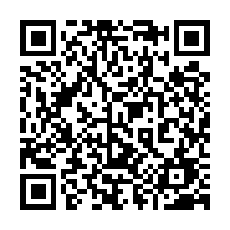 QR code for 9995SD
