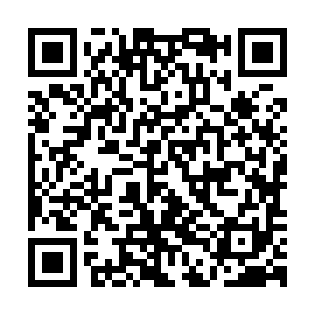 QR code for ADJ991