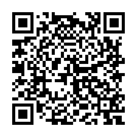 QR code for AEI951