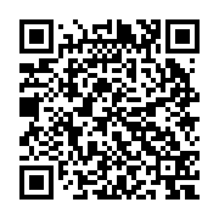 QR code for AIA233