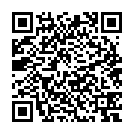 QR code for AIB2381