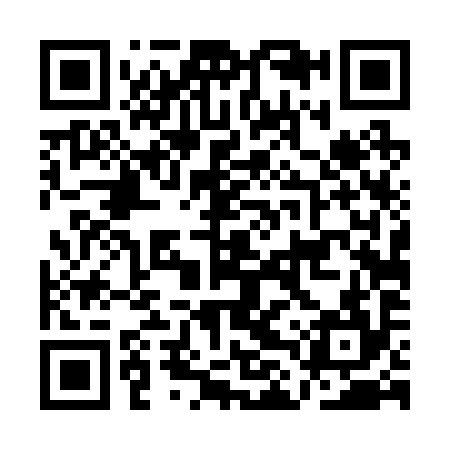 QR code for ALT294