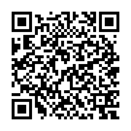 QR code for ALU2729