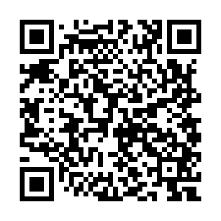 QR code for ALV941