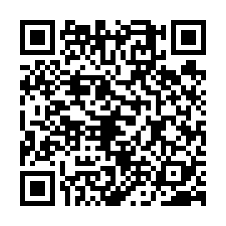 QR code for ANE6294