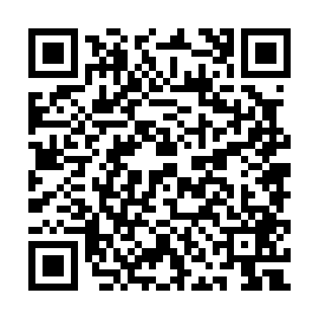 QR code for ANN0496