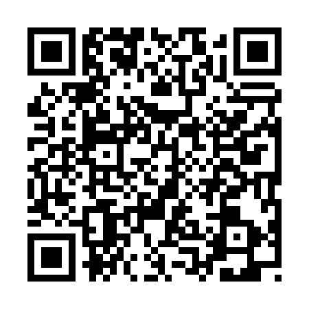 QR code for API0938
