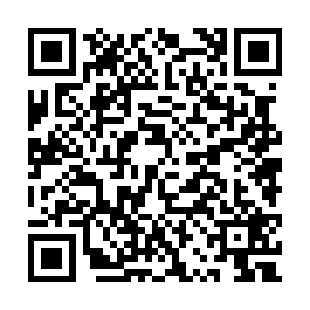 QR code for ARN0294