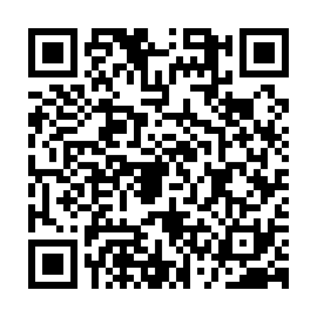 QR code for ASG1317