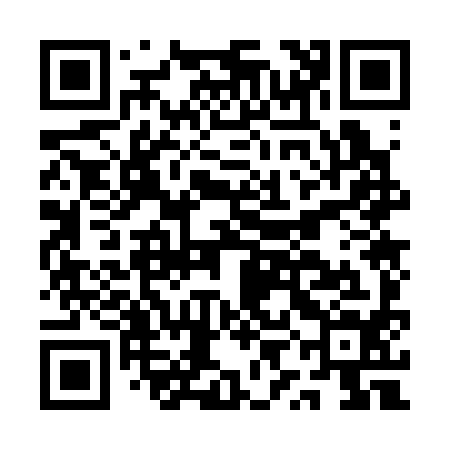 QR code for AYO394