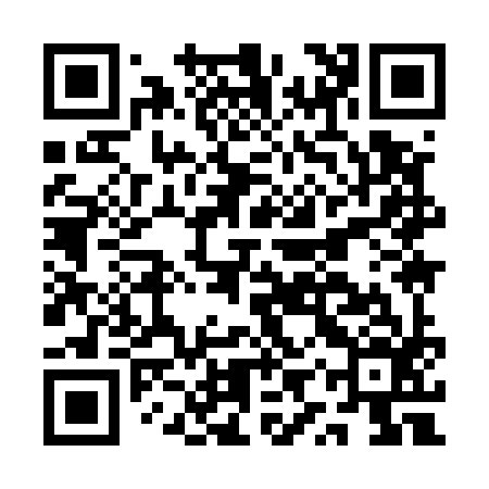 QR code for AYY596