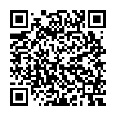 QR code for BAK384