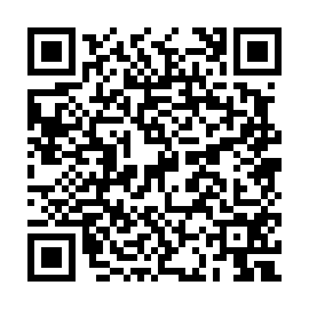 QR code for BCP4541
