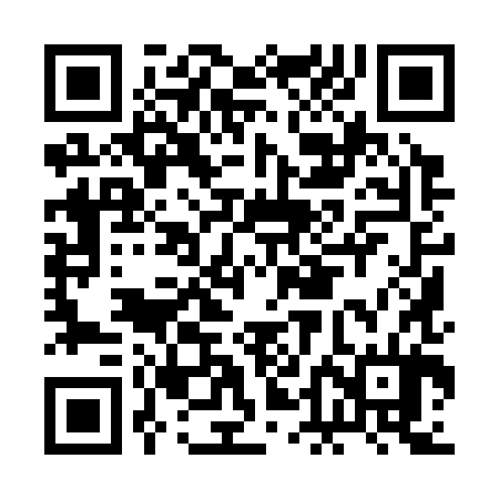 QR code for BDI384