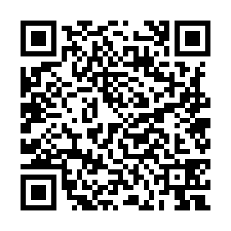 QR code for BFG9381